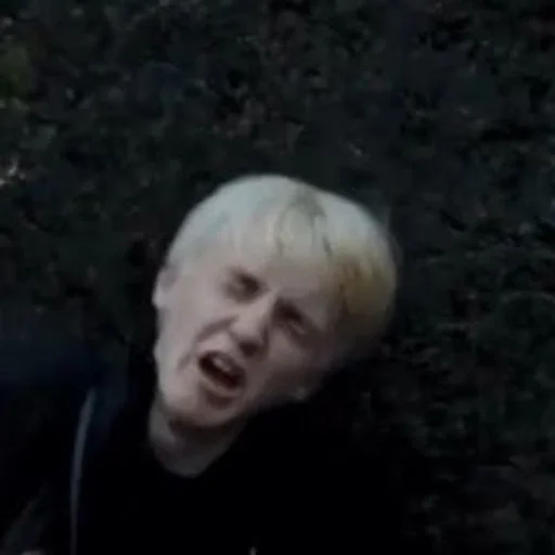 Стикер драко/том 🐍 от всевышней💓 by @fStikBot - 7