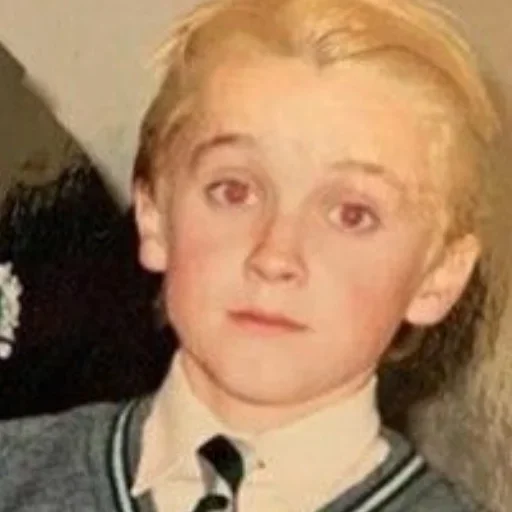 Стикер драко/том 🐍 от всевышней💓 by @fStikBot - 3