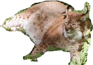 Sticker Всратыши - 0