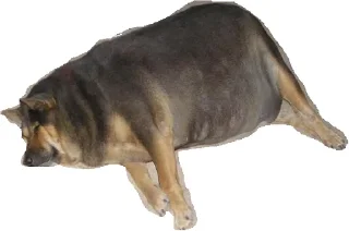 Sticker Всратыши - 9