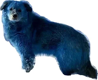 Sticker Всратыши - 10