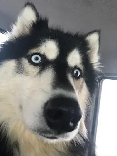 Sticker Всратыши - 8