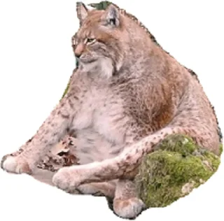 Sticker Всратыши - 11