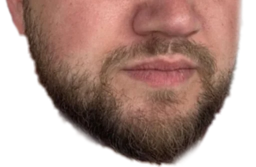 human beard facial hair human face