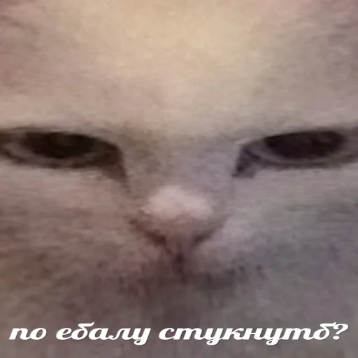 Sticker vsratiekity - 1