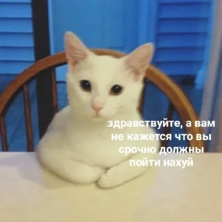 Sticker всратые кiты - 11