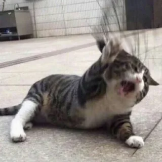 Sticker всратые кiты - 1