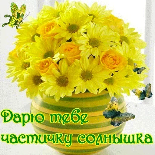 цветок растение Флористика