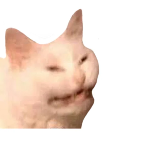 Sticker vsratyshi2_0 - 1