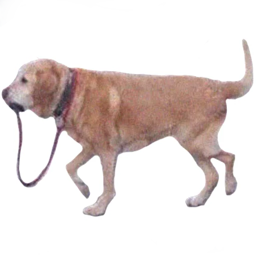 Sticker vsratyshi2_0 - 1