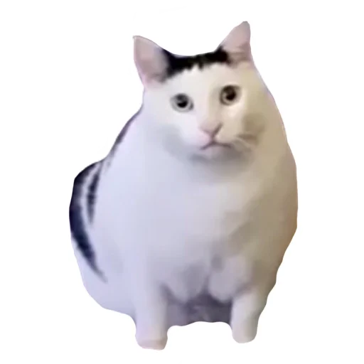 Sticker vsratyshi2_0 - 1