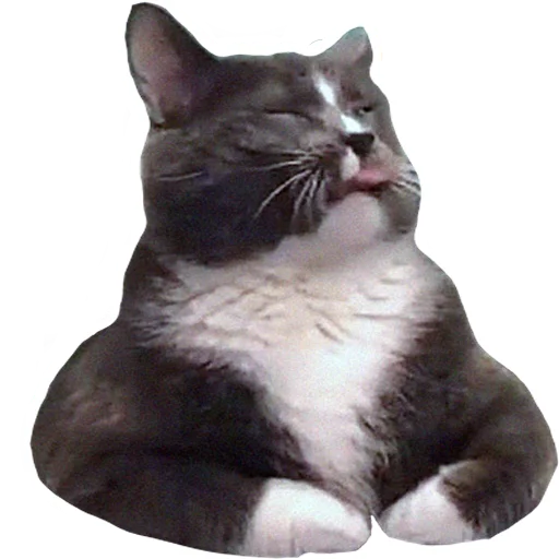 Стикер vsratyshi2_0 - 1