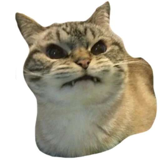 Sticker vsratyshi2_0 - 1