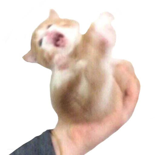 Sticker vsratyshi2_0 - 1