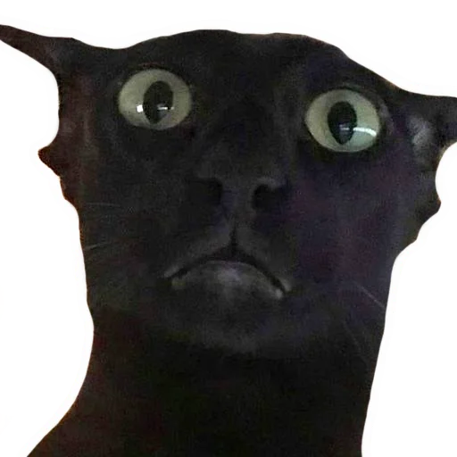 Стикер vsratyshi2_0 - 1