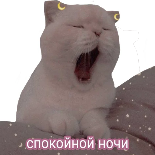 Sticker vsratyshi2_0 - 1