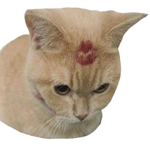 Sticker vsratyshi2_0 - 1