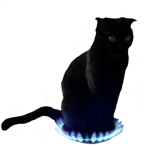 Sticker vsratyshi2_0 - 1