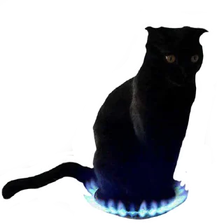 Стикер встратыши2.0 - 1