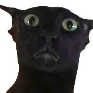 Стикер встратыши2.0 - 10