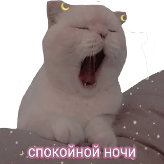 Стикер встратыши2.0 - 5