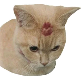 Стикер встратыши2.0 - 3