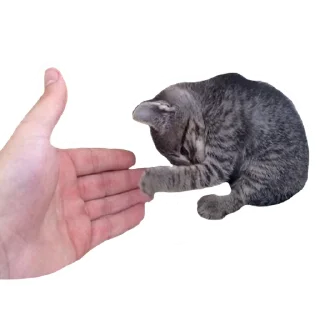 Стикер встратыши2.0 - 4