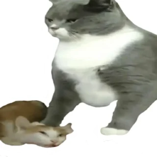 Стикер встратыши2.0 - 7