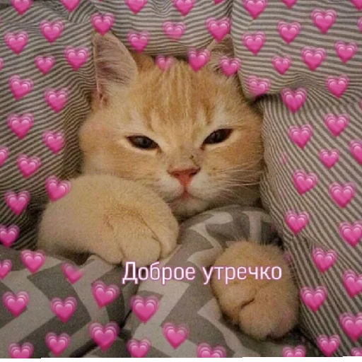 Sticker vvaryyaa - 1