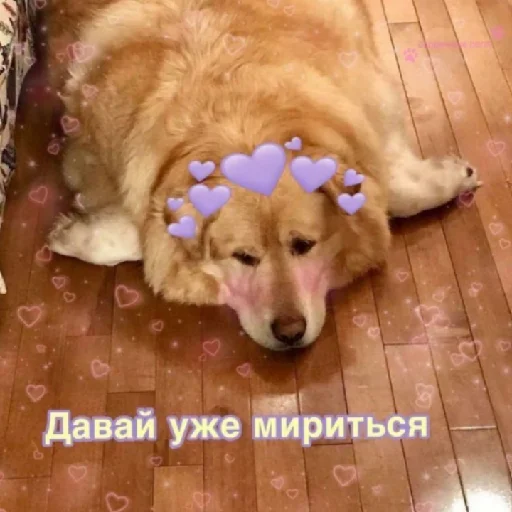 Sticker vvaryyaa - 1