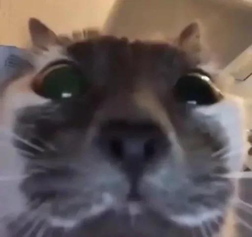 Sticker vvff_by_stickers_stealer_bot - 1