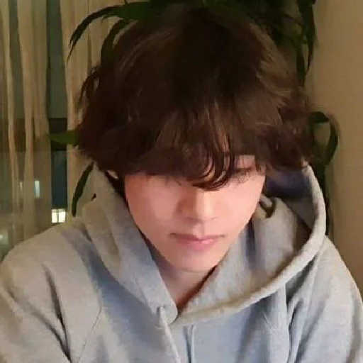 Человек человеческое лицо комнатный