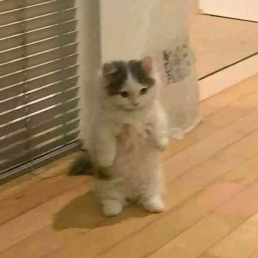 Стикер vvunwert :: @fStikBot - 4