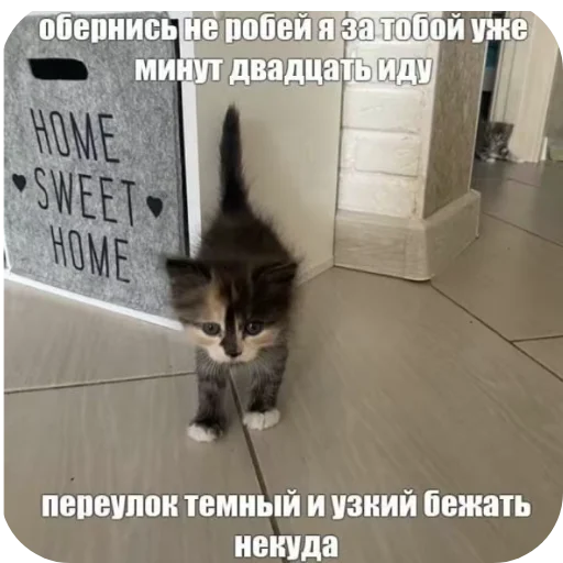 Sticker vvvvvvch - 1