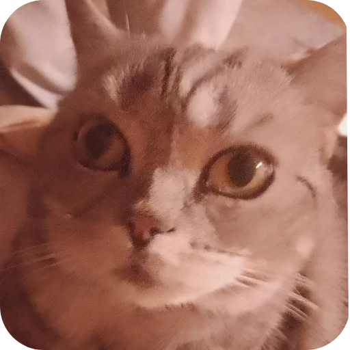 Sticker vvvvvvch - 1