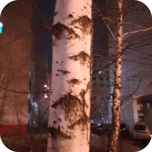 Sticker vvvvvvch - 1