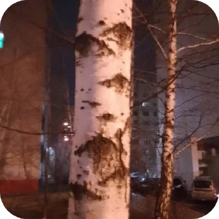 Sticker ввважнейшие переговоры - 7