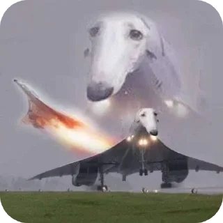 Sticker ввважнейшие переговоры - 8