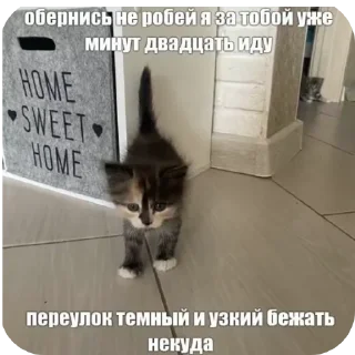 Sticker ввважнейшие переговоры - 11