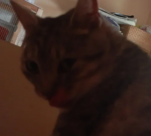 Sticker vwtZsWuN_by_stickers_stealer_bot - 1