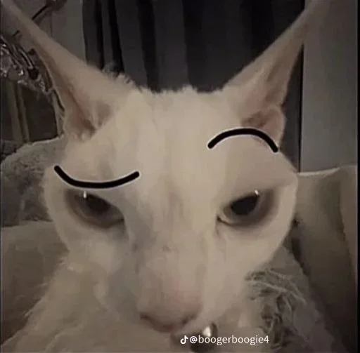 Sticker vwtZsWuN_by_stickers_stealer_bot - 1