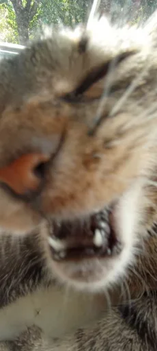 Sticker vwtZsWuN_by_stickers_stealer_bot - 1