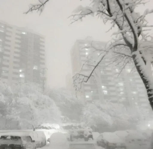 Стикер vyeervB_by_achestickbot - 1