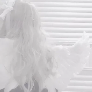 Стикер Больше стиков тут: @stikery4 - 5