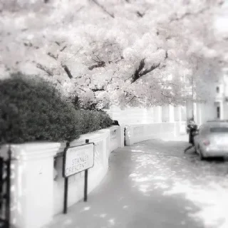 Стикер Больше стиков тут: @stikery4 - 0