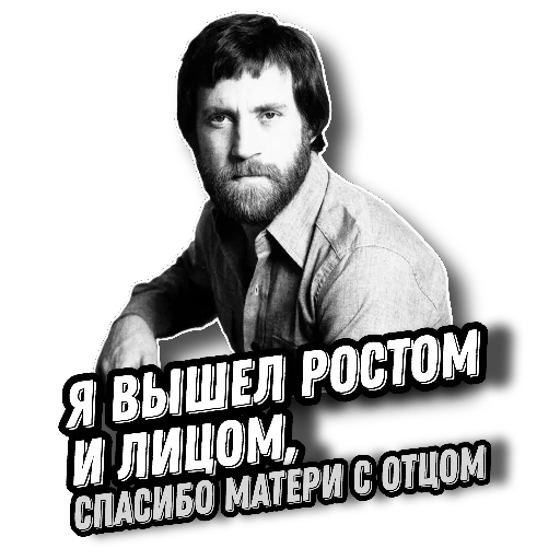 Sticker vysotskylive - 1