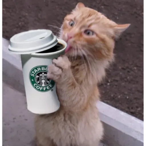 Sticker Dog&cat by @stqrapp - 11