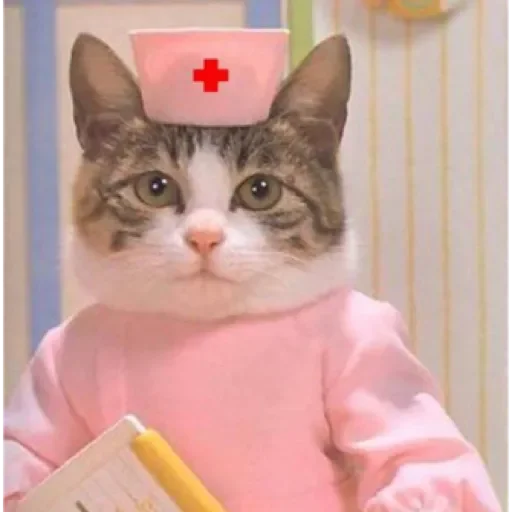 Sticker Dog&cat by @stqrapp - 8