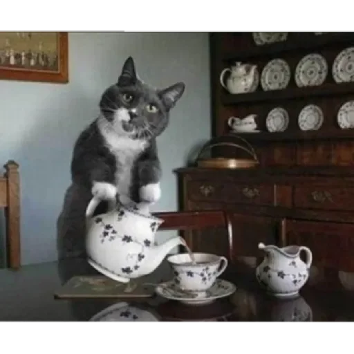 Sticker Dog&cat by @stqrapp - 5