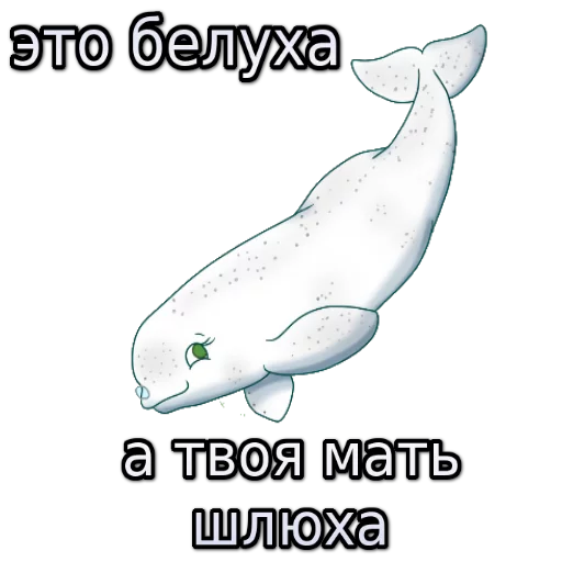 СМС рыба животное